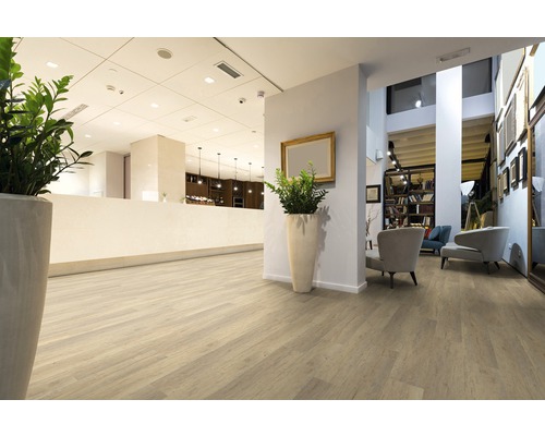 Pièce claire avec revêtement de sol imitation bois, réception et coin salon