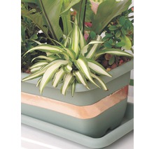 Ruban anti-limaces en cuivre FloraSelf pour pots 4,5 m-thumb-1