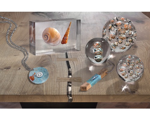 Dekorative Objekte auf einem Tisch: Halskette, Briefbeschwerer und ein Block mit Muscheln