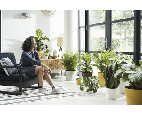 Intérieur lumineux avec femme sur fauteuil, plantes d''intérieur et lumière du jour