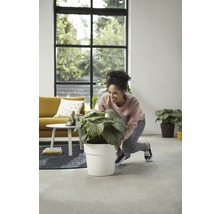 Une femme arrange une plante d''intérieur dans un pot blanc dans un salon lumineux.
