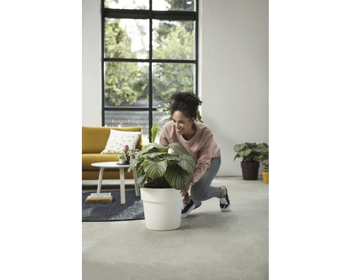 Une femme arrange une plante d''intérieur dans un pot blanc dans un salon lumineux.