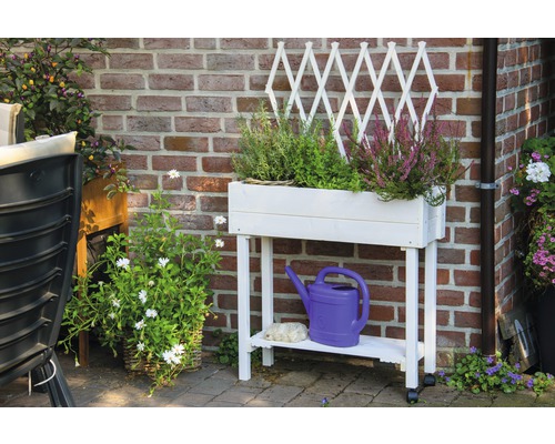 Dekoratives Hochbeet aus Holz mit Rankgitter, bepflanzt mit verschiedenen Pflanzen, sowie Giesskanne und Steinen.