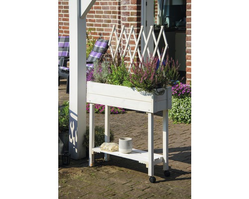 Blumenkasten aus Holz mit Rankgitter und Rollen für den Aussenbereich