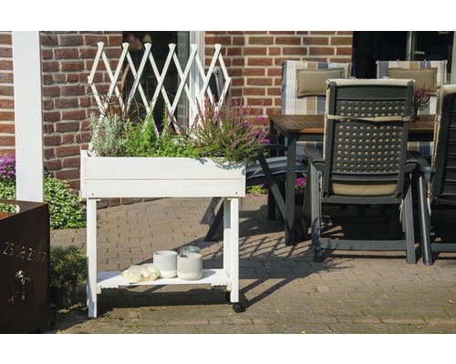 Ein weissen Pflanztisch mit Pflanzen und Gartendekoration im Freien.