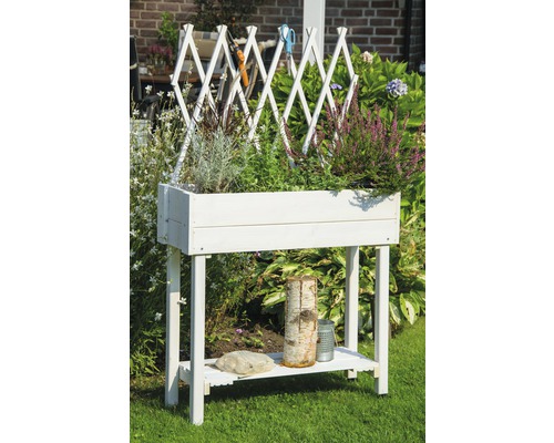 Jardinière Surélevée 142cm Avec Treillis Réglable - Parfaite Pour Tomates Et Plantes Grimpantes Sur Balcon - 12
