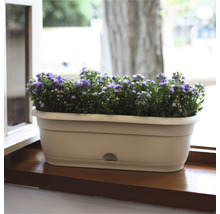 Jardinière avec des fleurs violettes sur un rebord de fenêtre