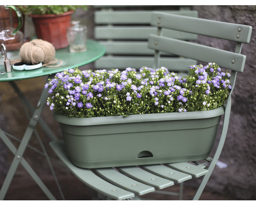 stylische blumenksten Beton Blumenkasten grau, lnglich