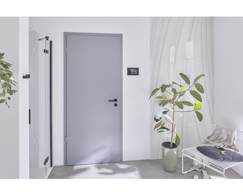 Helle Inneneinrichtung mit Innentür, Garderobe und Zimmerpflanze