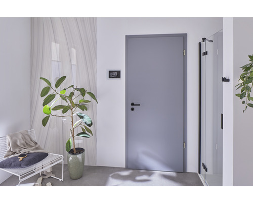 Innenraum mit grauer Tür, Sitzgelegenheit und Zimmerpflanze