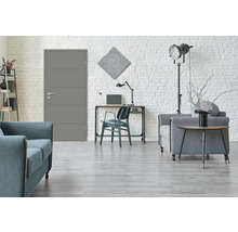 Modern eingerichtetes Wohnzimmer mit grauer Innentür