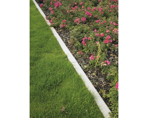 Aménagement paysager avec pelouse, bordure de parterre et plate-bande de roses