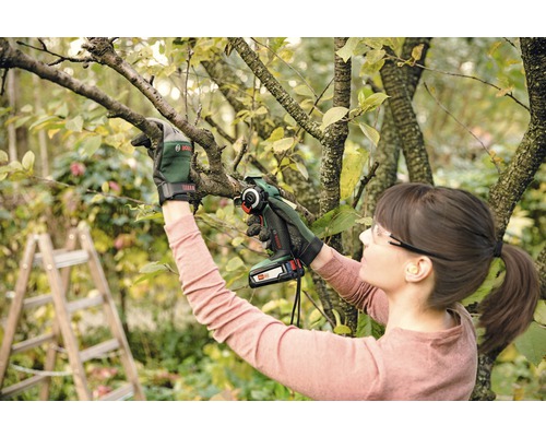 Frau schneidet mit einer Akku-Astsäge Äste eines Baumes. Sie trägt Schutzbrille und Gartenhandschuhe.