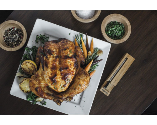 Poulet grillé sur une assiette avec garnitures et un thermomètre à viande