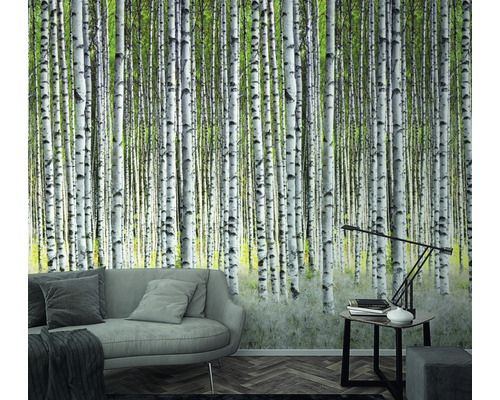 Salon avec papier peint photo motif forêt de bouleaux