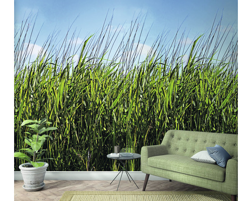Salon avec papier peint photo à motif d''herbe, canapé et plante d''intérieur