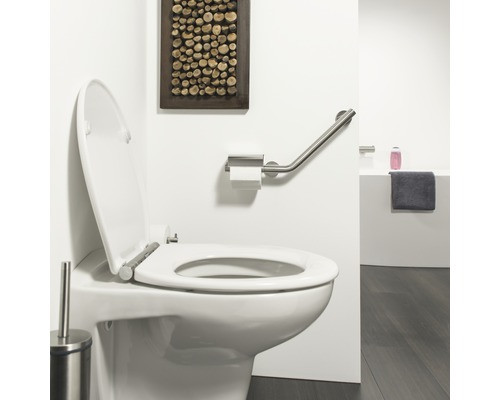 Salle de bains avec toilettes, support papier toilette avec barre d''appui et décoration