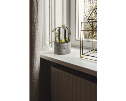 Plante décorative dans un pot en ciment avec une cage sur un rebord de fenêtre