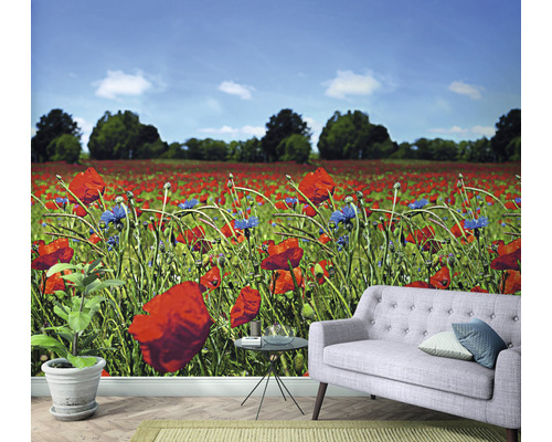 Papier peint avec motif de champ de coquelicots dans une pièce avec un canapé