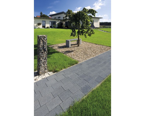 Aménagement paysager de jardin avec chemin pavé, gabions et arbre