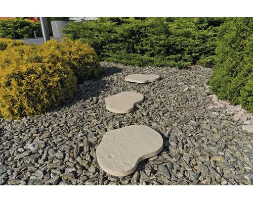 Scène avec allée de jardin en pas japonais et gravier décoratif