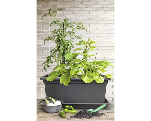 BackyardBounty Pflanzkasten 40,6 Cm – Rechteckiger Kunststoff-Kübel, 7,8 Liter, UV-beständig, Für Kräuter & Sukkulenten