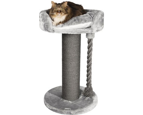 Katze liegt auf einem Kratzbaum mit Liegemulde und Sisalstamm