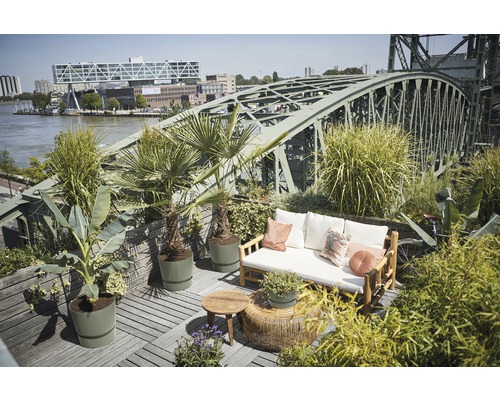 Espace extérieur aménagé avec mobilier de salon et plantes sur un toit-terrasse avec pont en arrière-plan