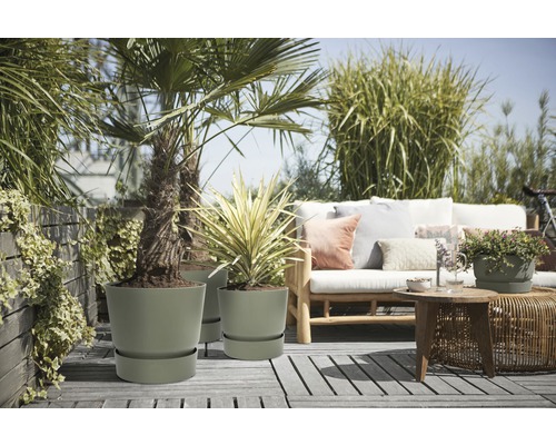 Terrasse avec plantes en pots et coin salon
