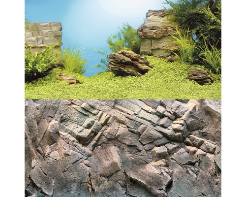 Aquariumrückwand mit Steinmuster und grünen Pflanzen