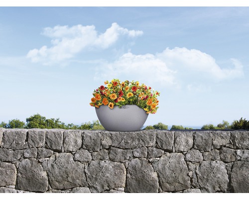 Fleurs dans une jardinière sur un mur de pierre avec ciel bleu