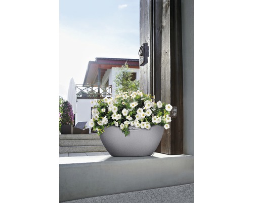 Pot de fleurs gris avec des fleurs blanches devant une maison