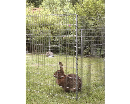 Kaninchen im Freilaufgehege im Garten