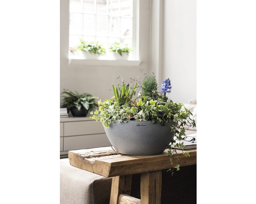 Jardinière décorative avec plantes vertes et jacinthes fleuries sur une table en bois à l''intérieur
