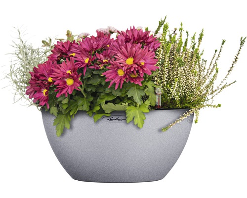 Arrangement floral en pot