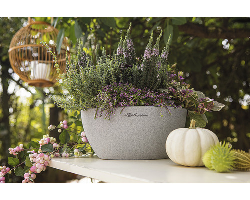 Jardinière Lechuza plantée avec décoration automnale