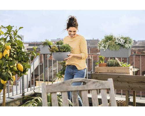 Femme avec jardinière sur un balcon avec herbes aromatiques, fleurs et citronnier
