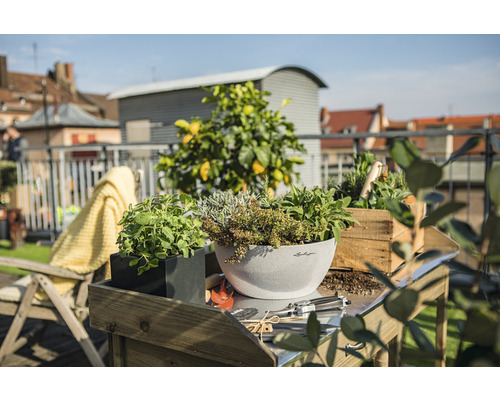 Scène avec des herbes aromatiques dans des jardinières sur une table à l''extérieur
