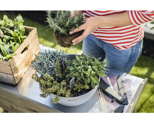 Une femme plante des herbes aromatiques dans un pot sur une table de jardin, à côté d''une caisse en bois contenant des herbes aromatiques.