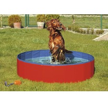 Chien sautant dans une piscine pour chiens rouge et bleue dans le jardin.