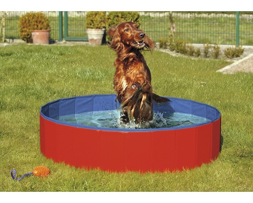 Doggy Pool 120 x 30 cm, rouge-bleu