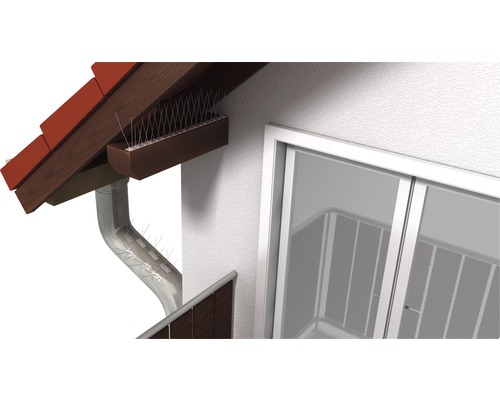 Scène avec pics anti-oiseaux sur gouttière et bord de toit