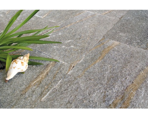 Carreaux en pierre naturelle avec plante et coquillage
