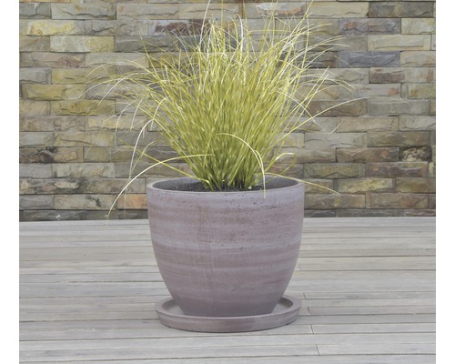 Herbe dans un pot de fleurs avec soucoupe devant un mur de pierre