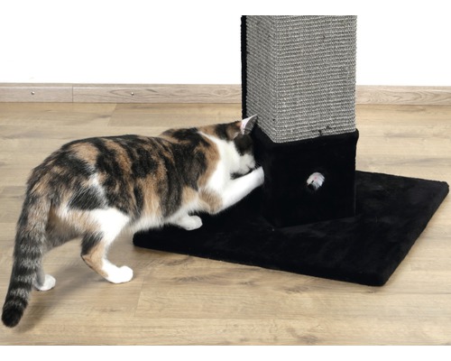 Katze spielt mit einem Kratzbaum mit Spielzeugmaus