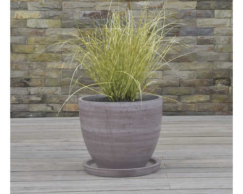 Plante en pot avec soucoupe sur terrasse en bois