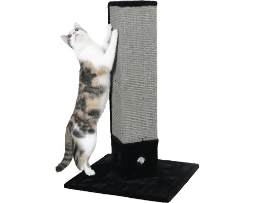 Katze benutzt einen Kratzbaum