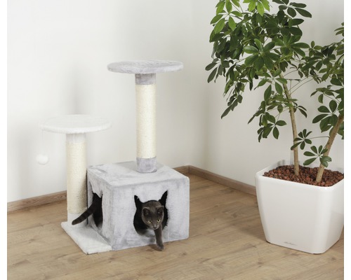 Katzenkratzbaum mit Höhle, Plattformen und Sisalstämmen, mit Katze und Pflanze