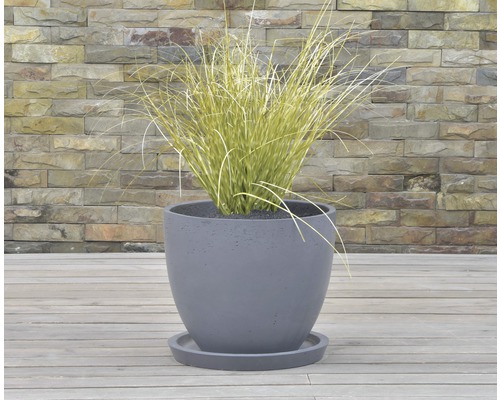 Pot de fleurs gris en béton avec soucoupe et herbe ornementale