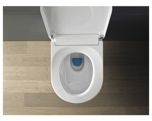 Aufgeschnittenes Wand-WC mit offenem Deckel